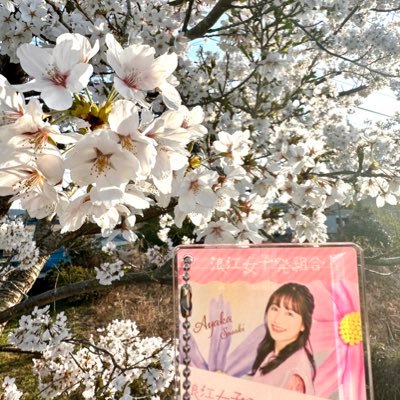 ももクロ:あーりん推し。アメフラ:市川優月ちゃん推し。2012年からももクロにハマってます。最近はAMEFURASSHIも。ここ最近はももクロ明治座、15周年ツアー千秋楽、ロッキン2023などに参加。浪江女子初組合や内藤るな、高井千帆も好き。プロ野球も🐯🦁
