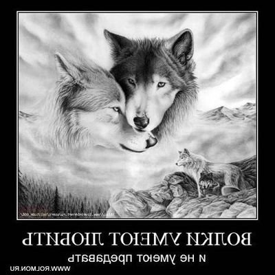 Pamela189749716's profile picture. 