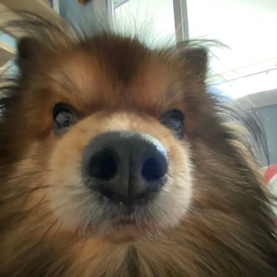 Pietro61098223's profile picture. 