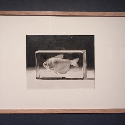 MartaBlanca2's profile picture. 