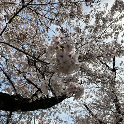 Twitter🔰無言フォロー失礼します🙇‍♀️中受に向けて情報収集中です。