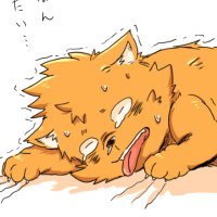 あきた犬丸 (@akitainumaru2) 's Twitter Profile Photo