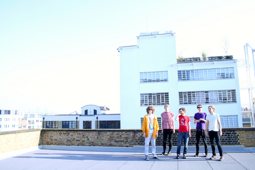 Bear_Driver's profile picture. pop-fuzz-mess