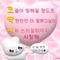 난조따라다니면서목연이에게경계당하기협회 (@noacid0227) 's Twitter Profile Photo 난조따라다니면서목연이에게경계당하기협회 (@noacid0227) 's Twitter Profile Photo