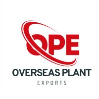 Overseas Plant Exports Ltd(@overseasplant) 's Twitter Profile Photo