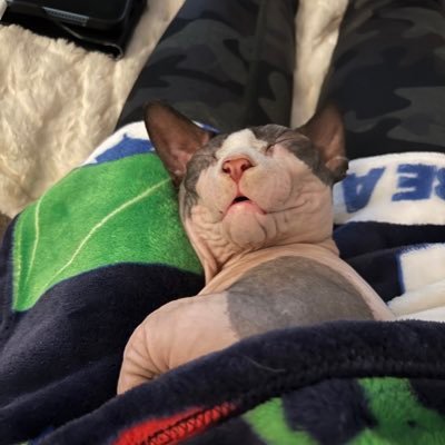 TaterBambino's profile picture. 