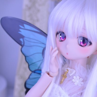 ドール(SD、DD オビツ11etc)をメインに猫、製作、ツイステ、リヴリー、その他諸々を呟く垢🐱🦋マイペースにドール愛でて製作して、サンリオ好きの姫と小姫に振り回されながら愛猫を吸うアカウント。ドールが妖精さんになれる翅をたまに通販したりマンガアートさんに委託したり… #妖精翅