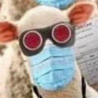 Albert Hawk (@hawkdangler) 's Twitter Profile