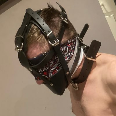 Bondage | Gear | Mostly sub | Original Content | 🇺🇸 🔞 | No Empty Profiles | Recon: craftkink