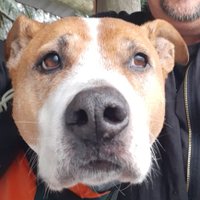 Sundog is a Single Planet Voter 🇺🇲🇺🇦 (@sundog723) 's Twitter Profile