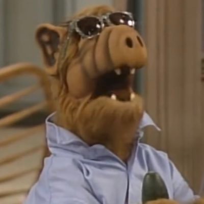 こてまるさんのプロフィール画像
