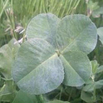 hypervisor78's profile picture. 🇯🇵🌟山羊座 ♡☺️好きなもの  家族　山歩き  保守　日本の伝統・歴史・文化　お笑い（特に漫才）読書    ◆🤮嫌いなもの  共産主義・売国奴・共産支那・南北朝鮮・サヨク・  反日マスコミ・日教組・連合とその傘下労働組合