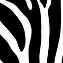 bailey Whipple - @quotecheeta - Twitter