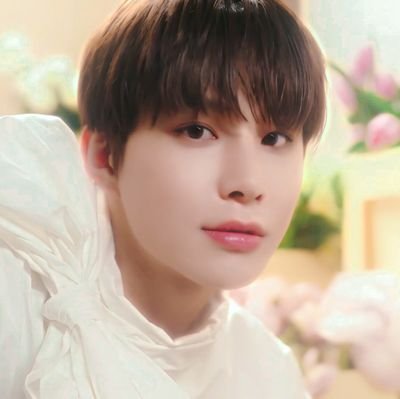 allaboutjungwoo Profile Picture