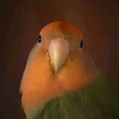 Eglitched1's profile picture. Level creator in GD 🇧🇴
Glow - modern
(14 CPs 🛠️)