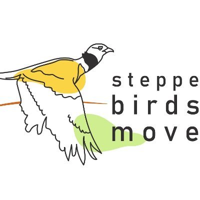 📌 Movement Ecology of Steppe-land Birds in Southwestern Europe 

📌 Based at @CIBIO_InBIO

#MovementEcology #LittleBustard #Sandgrouse #StoneCurlew