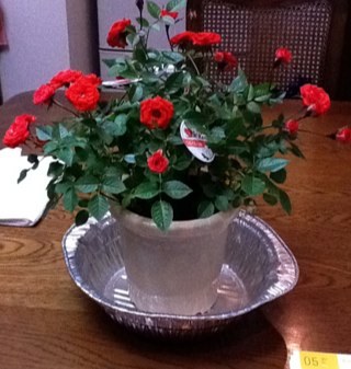 shiho_nakamoto's profile picture. お芝居してます。子育てをしながら楽しいことを探してます。