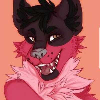 ✂️Beginner TX Fursuit Maker✂️
Not active here! Check out my IG or Tiktok! (same username)