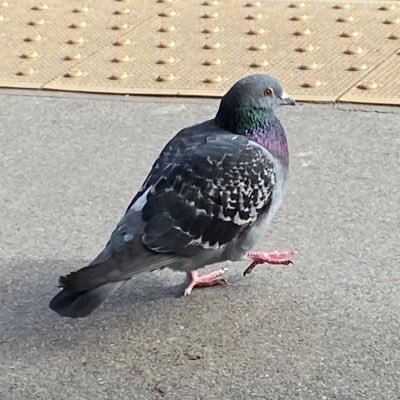 arnie_woody's profile picture. 