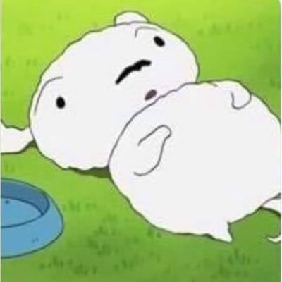 wholenyang's profile picture. 이곳 혹은 저곳을 끝없이 표류중