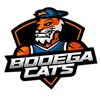 Bodega Cats GC (@bodegacatsgc) 's Twitter Profile Photo Bodega Cats GC (@bodegacatsgc) 's Twitter Profile Photo