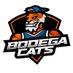 Bodega Cats GC (@bodegacatsgc) Twitter profile photo Bodega Cats GC (@bodegacatsgc) Twitter profile photo