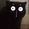 Meinemeow's profile picture. 爬虫類ブリーダー／ポケモンGOプレイヤー
 たくさんのお友達ができることを願っています！