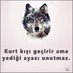 Yalnız Kurt (@MehmetK75382264) Twitter profile photo