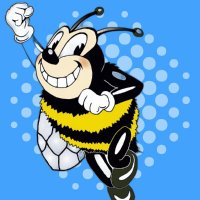 Bonner County Daily Bee Sports (@bcdbsports) 's Twitter Profile
