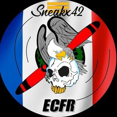 🇨🇵FR🇨🇵
Capitaine de l'ECFR, fier de l'être
PlayStation For Ever 🎮
ID : ECFR__Sneaks42