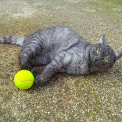 66Carera89's profile picture. 