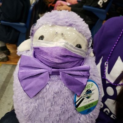 I'm shep the safety sheep from team 2706 Merge Robotics! @frc2706