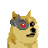 ShiborgInu's profile image