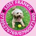 FindingFrankie (@FindingFrankie_) Twitter profile photo