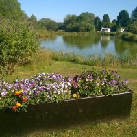 Cotswold Carp Farm Campsite(@nick_westmacott) 's Twitter Profile Photo