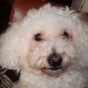 Gavin Brand - @hoss69r - Twitter