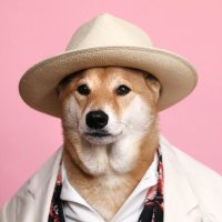 GEJMR (@gejmrcz) 's Twitter Profile