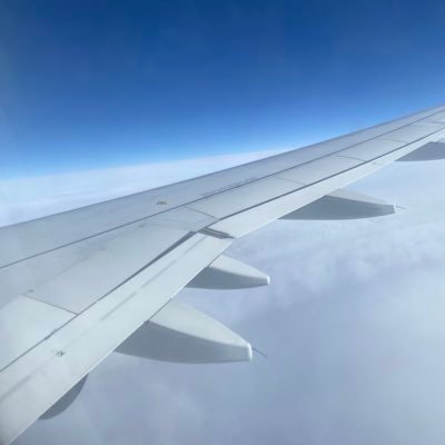 evimono's profile picture. 