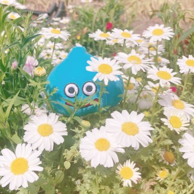 懸賞はじめました😊副業、あやしい垢はブロックします(*・ω・)*_ _)ペコリ #まりんの当選報告