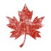Canadian Buck (@buck_canadian) Twitter profile photo