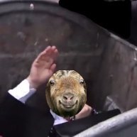 crapshow22811's profile picture. أجمع القمامة
I collect garbage