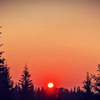 TimberGrlonFire (@timbergrlonfire) 's Twitter Profile