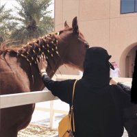 المتفائله ✨ (@al_a_f16) Twitter profile photo