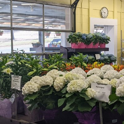 geremiafarms's profile picture. Family-owned, family-run farm store founded in 1957. Fresh local produce, plants and flowers from our own greenhouses, and home baked pies, donuts and treats.