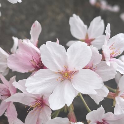 都内認可保育園で園長をしています♪主体性保育を目指して日々奮闘中！！子どもたちが自分らしく生きる今を共に作り､輝く未来へと繋がるように🌈✨大人たちにできることは…？保育の発信していきます！