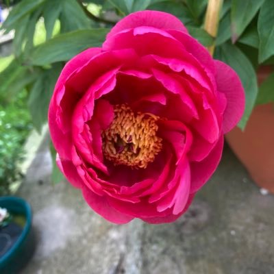@gp_recept10n