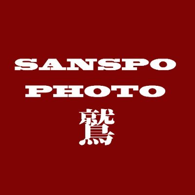 Sanspo_EAGLES Profile Picture