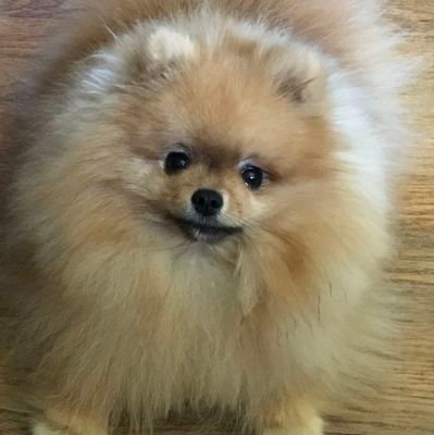 CarolMo70023386's profile picture. Believer in Dragons