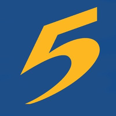 Action News 5 Profile