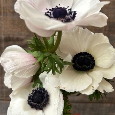 peacelady64's profile picture. 